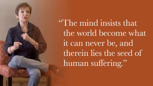 The mind insists that the world become what it can never be, and therein lies the seed of human suffering.