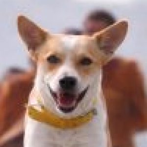 Profile photo of Leslie