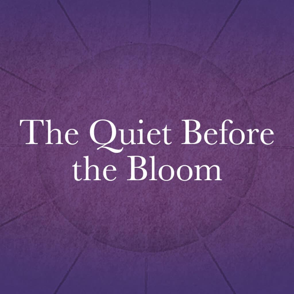 The Quiet Before the Bloom