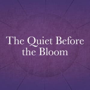 The Quiet Before the Bloom